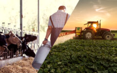 PIB da Bahia cresce 3,2% no 1º trimestre de 2025 e supera média nacional; agropecuária e indústria se destacam