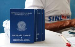 VAGAS DE EMPREGO PARA PAULO AFONSO DIA 20/02/2026